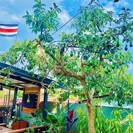 Casa Los Madriz Suite #2 San Isidro De El General ภายนอก รูปภาพ