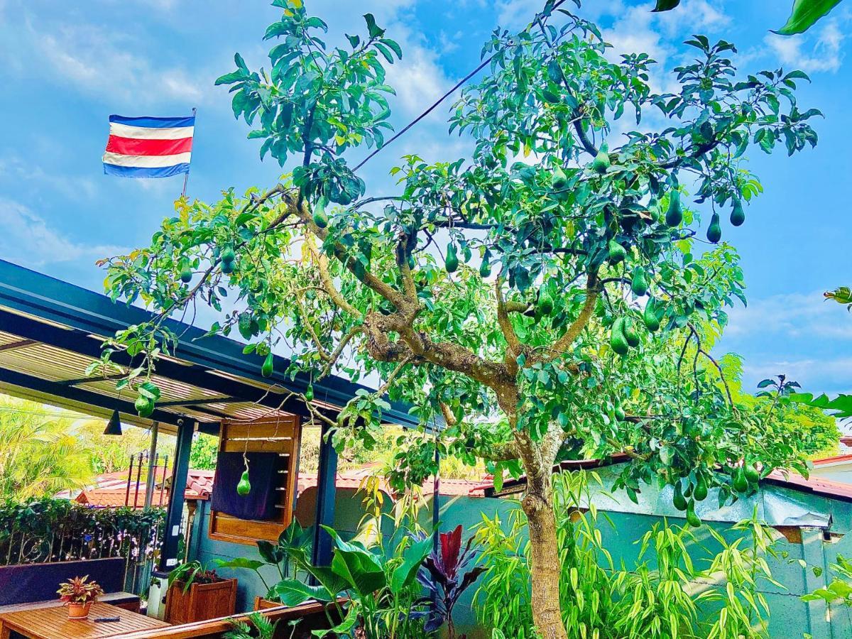 Casa Los Madriz Suite #2 San Isidro De El General ภายนอก รูปภาพ